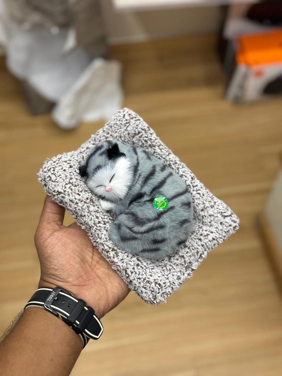 Sleeping Cat Plush Toy with Cushion